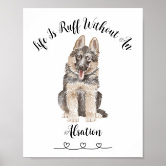 Poster de Pet Wall Art Personalizado