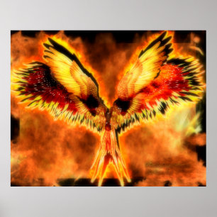 Poster de Phoenix