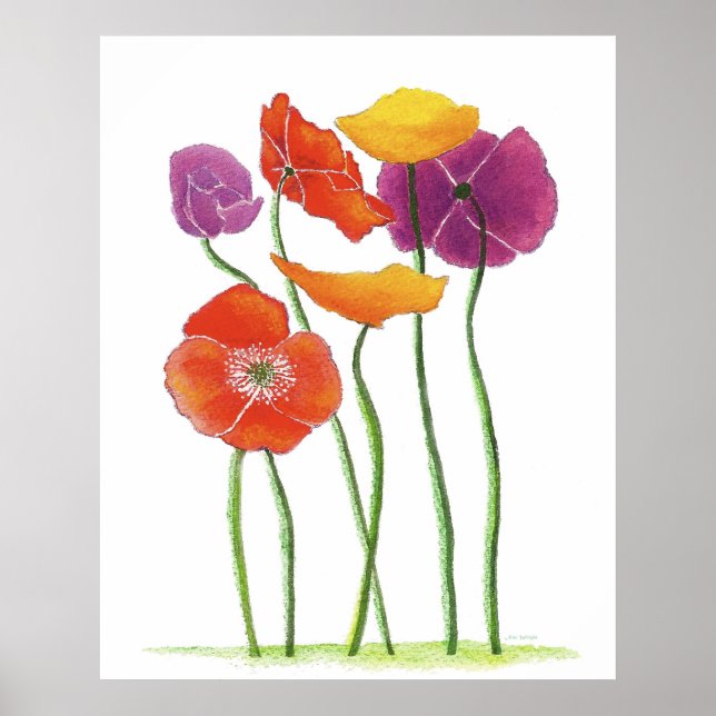 Poster de pintura a aquarela de Poppies Plentis (Frente)