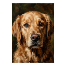 Pôster de pintura a óleo do Golden Retriever | Cac