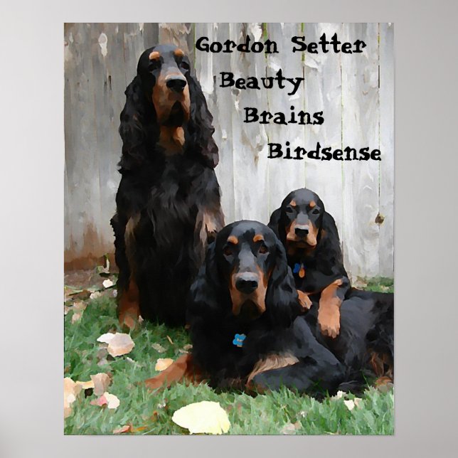 Poster de Pintura de Gerações de Gordon Setter (Frente)