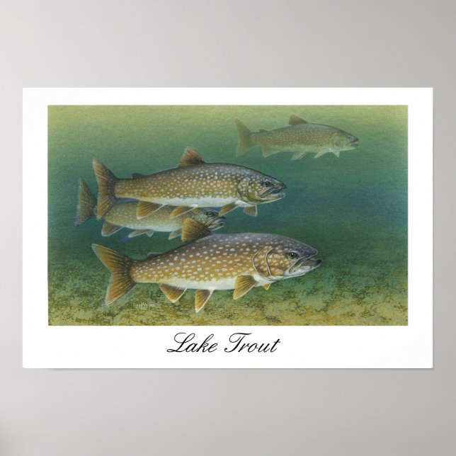 Poster de pintura de Lake Trout (Frente)