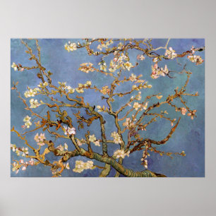 Poster de pintura do Flor de Amêndoa Van Gogh