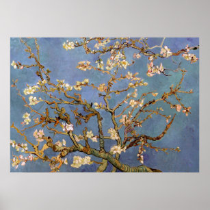 Poster de pintura do Flor de Amêndoa Van Gogh