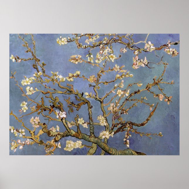 Poster de pintura do Flor de Amêndoa Van Gogh (Frente)
