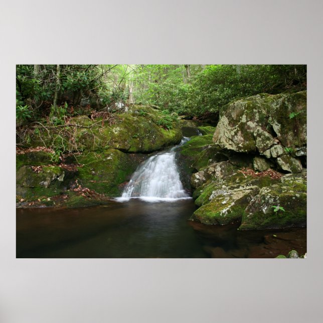 Poster de Piscina legal (Frente)