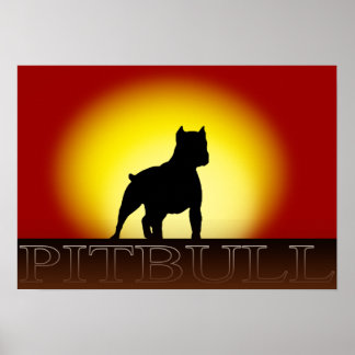 Poster de Pitbull Sunset
