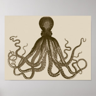 Poster de polvo antigo