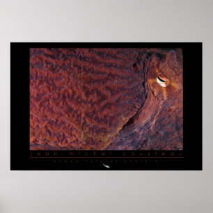 Poster de polvo gigante do Pacífico