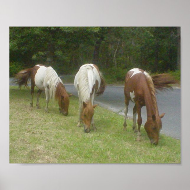 Poster de Ponies Livres (Frente)