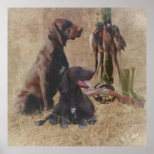 Poster de Ponteiros Curtos Alemães (SPG)