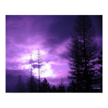 Pôster de Pôr do Sol Roxo e Silhuetas 20" x 16"