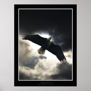 Poster De "poster da tempestade Eagle"