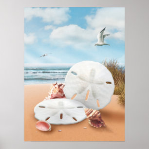Pôster De "poster dos dólares areia" de Alan Giana