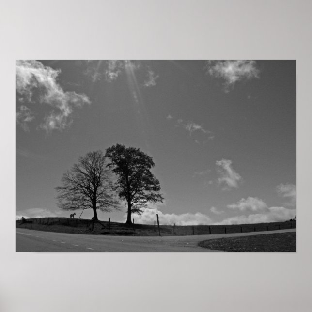 Poster de Prados da Montanha Twin Trees (Frente)