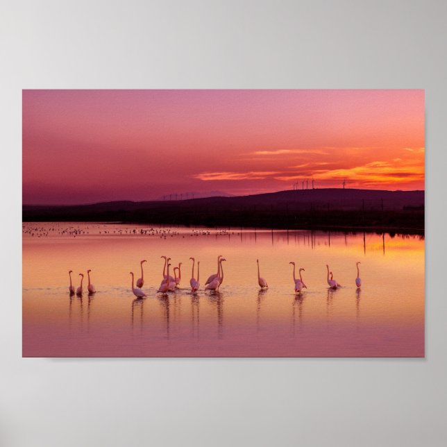 Poster de praia (Frente)