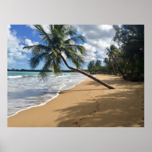 poster de praia