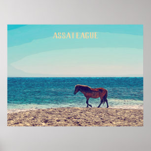Poster de Praia de Assateague Wild Horse