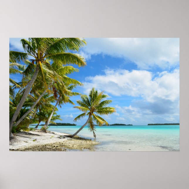 Poster de praia de palmeira do Pacífico (Frente)