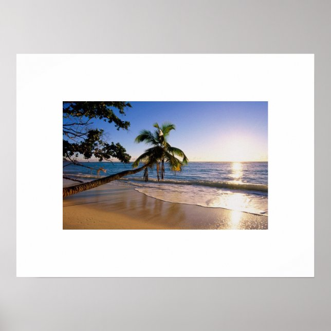 Poster de praia tropical (Frente)