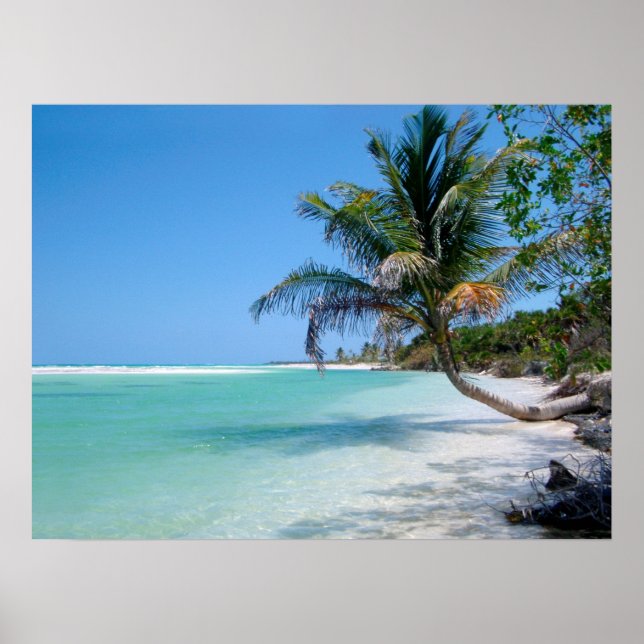 poster de praia tropical A PARTIR DE 8,60 (Frente)