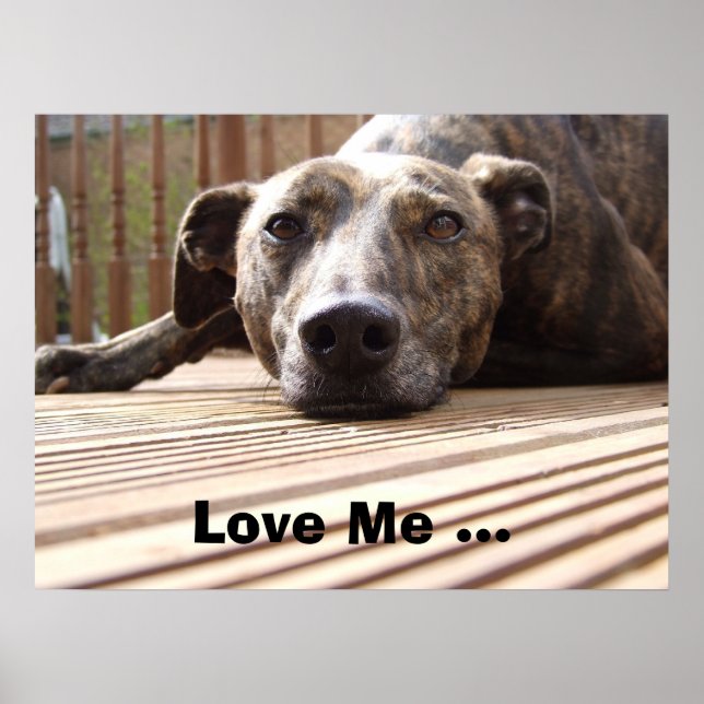 Poster de Preguiçoso (Frente)