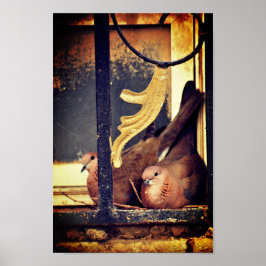 Poster de Preparação do Doente