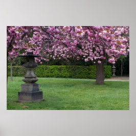 Poster de primavera Cherry Blossoms