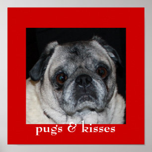 Poster de Pugs e Kisses