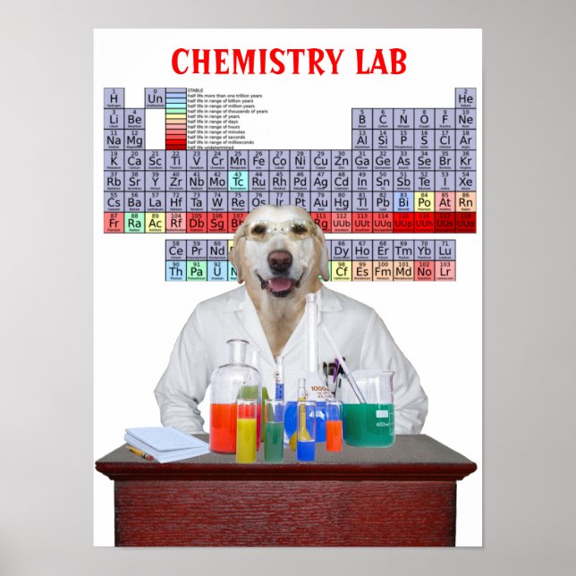 Poster de Química Funny Lab para Professores (Frente)