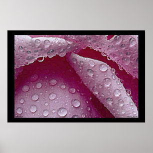 Poster de Raindrops