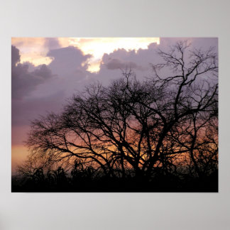Poster de Ramificações Skyscape