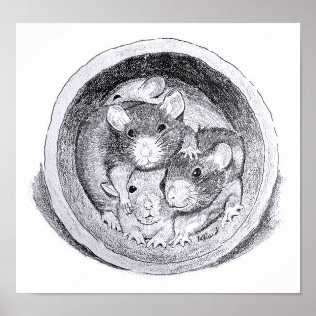 Poster de ratos-do-tubo (Frente)