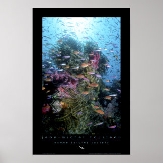 Poster de recife de coral