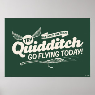 POSTER DE Recrutamento QUIDDITCH™