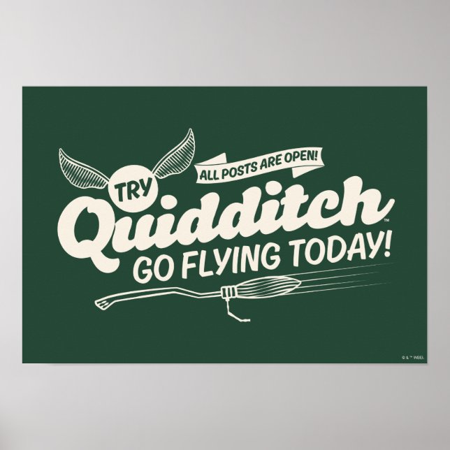 POSTER DE Recrutamento QUIDDITCH™ (Frente)