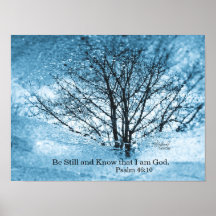 Poster de Reflexão de Árvore