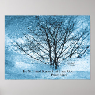 Poster de Reflexão de Árvore