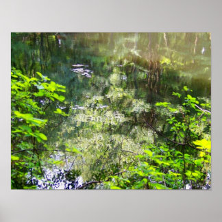 Poster de Reflexão Encantada