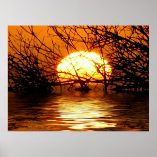 Poster de Reflexão Líquida do ouro Sunset