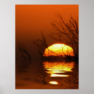Poster de Reflexões do Sunset