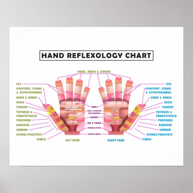 poster de Reflexologia Mão de 20" x 16" (Frente)