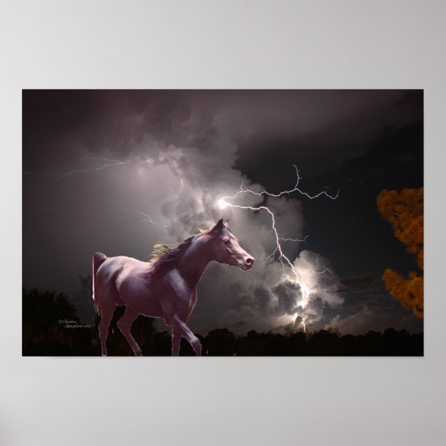 Poster de relâmpagos noturnos (Frente)