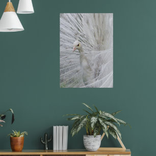 Poster de rendas brancas