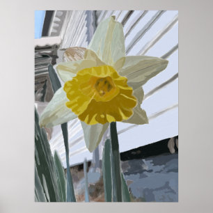 Poster de Retrato Daffodil