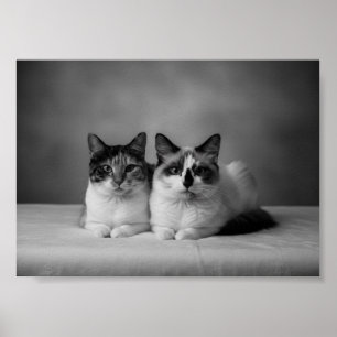 Pôster de retrato de animal de estimação personali