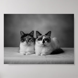 Pôster de retrato de animal de estimação personali