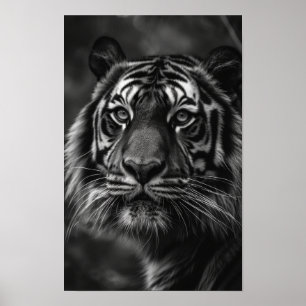 Poster de Retrato de Belas Artes Majestoso Tigre