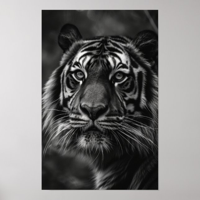 Poster de Retrato de Belas Artes Majestoso Tigre (Frente)