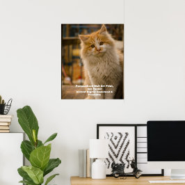 Poster de Retrato de Cat Personalizado - Impressão